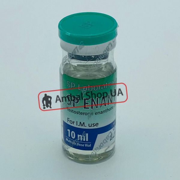 SP Enanthate 250mg (тестостерон енантат)