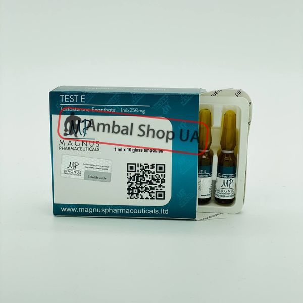 TEST ENANTHATE 1ml 250mg Magnus